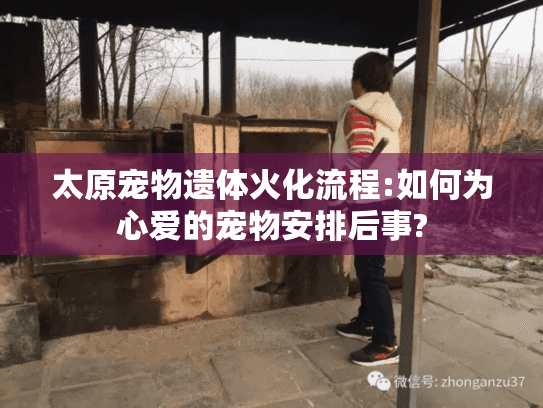 太原宠物遗体火化流程:如何为心爱的宠物安排后事?