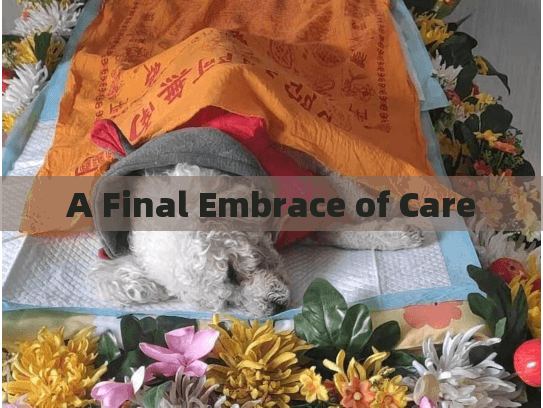 A Final Embrace of Care