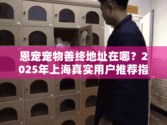 恩宠宠物善终地址在哪？2025年上海真实用户推荐指南