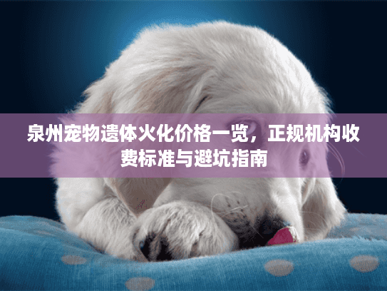 泉州宠物遗体火化价格一览，正规机构收费标准与避坑指南