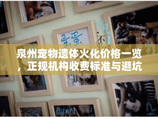 泉州宠物遗体火化价格一览，正规机构收费标准与避坑指南