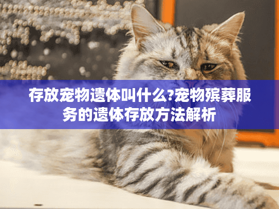 存放宠物遗体叫什么?宠物殡葬服务的遗体存放方法解析