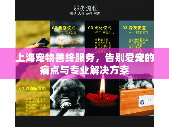 上海宠物善终服务，告别爱宠的痛点与专业解决方案