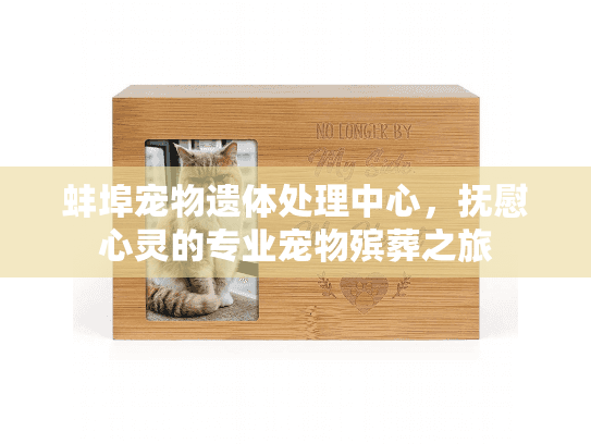 蚌埠宠物遗体处理中心，抚慰心灵的专业宠物殡葬之旅