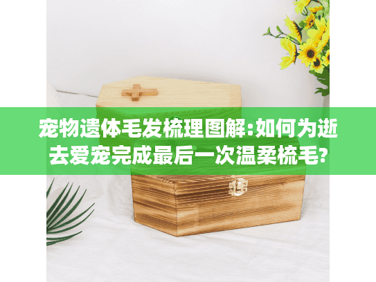 宠物遗体毛发梳理图解:如何为逝去爱宠完成最后一次温柔梳毛?