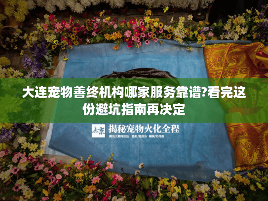 大连宠物善终机构哪家服务靠谱?看完这份避坑指南再决定