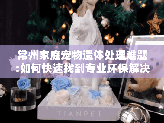 常州家庭宠物遗体处理难题:如何快速找到专业环保解决方案