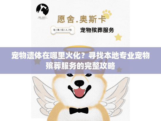 宠物遗体在哪里火化？寻找本地专业宠物殡葬服务的完整攻略