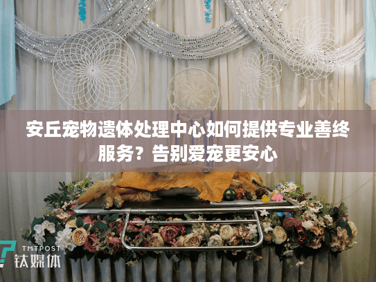安丘宠物遗体处理中心如何提供专业善终服务？告别爱宠更安心