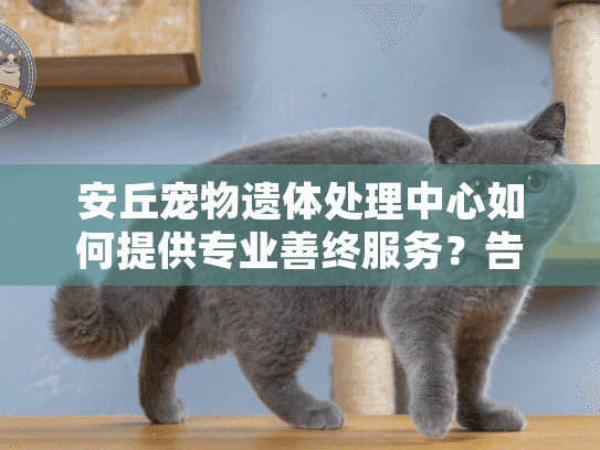 安丘宠物遗体处理中心如何提供专业善终服务？告别爱宠更安心