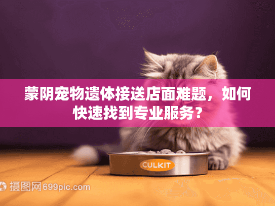 蒙阴宠物遗体接送店面难题，如何快速找到专业服务？