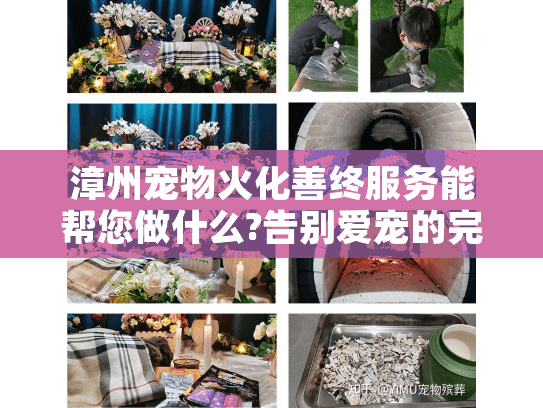 漳州宠物火化善终服务能帮您做什么?告别爱宠的完整指南