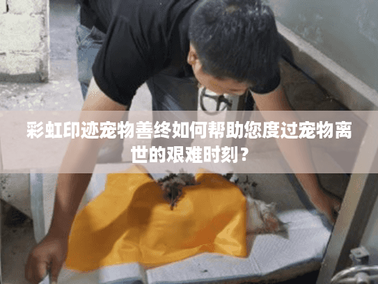 彩虹印迹宠物善终如何帮助您度过宠物离世的艰难时刻？