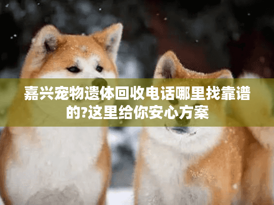 嘉兴宠物遗体回收电话哪里找靠谱的?这里给你安心方案