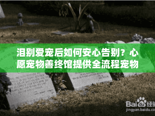 泪别爱宠后如何安心告别？心愿宠物善终馆提供全流程宠物殡葬服务