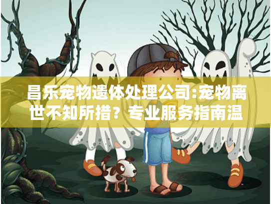 昌乐宠物遗体处理公司:宠物离世不知所措？专业服务指南温暖守护