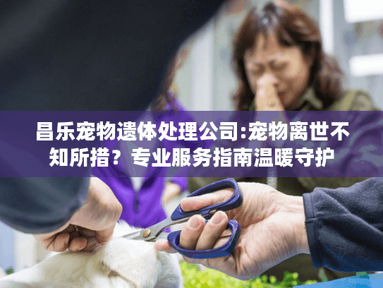 昌乐宠物遗体处理公司:宠物离世不知所措？专业服务指南温暖守护