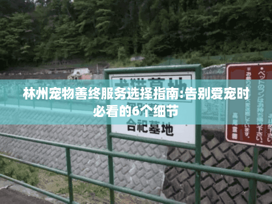 林州宠物善终服务选择指南:告别爱宠时必看的6个细节