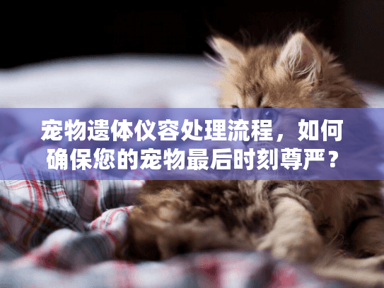 宠物遗体仪容处理流程，如何确保您的宠物最后时刻尊严？