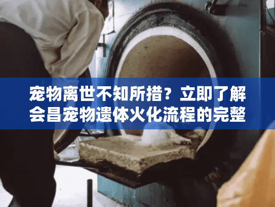 宠物离世不知所措？立即了解会昌宠物遗体火化流程的完整指南