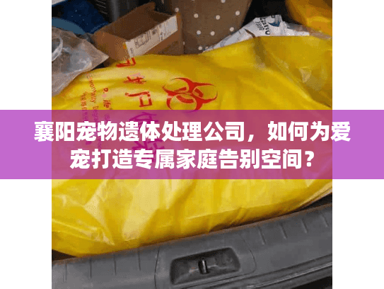 襄阳宠物遗体处理公司，如何为爱宠打造专属家庭告别空间？