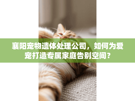 襄阳宠物遗体处理公司，如何为爱宠打造专属家庭告别空间？
