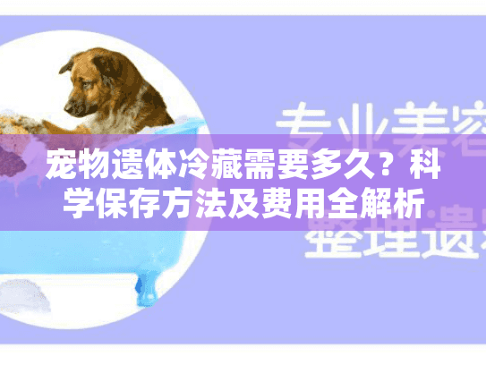 宠物遗体冷藏需要多久？科学保存方法及费用全解析