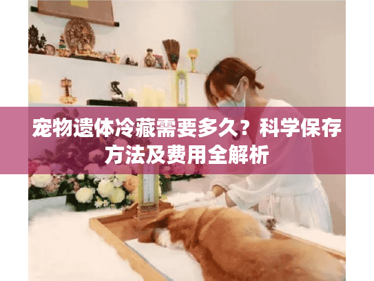 宠物遗体冷藏需要多久？科学保存方法及费用全解析