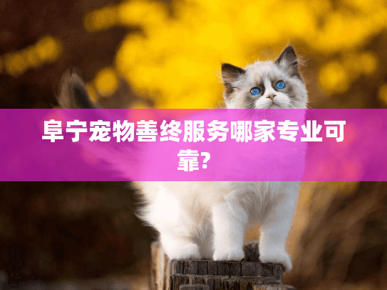 阜宁宠物善终服务哪家专业可靠?