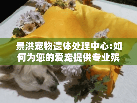 景洪宠物遗体处理中心:如何为您的爱宠提供专业殡葬服务？