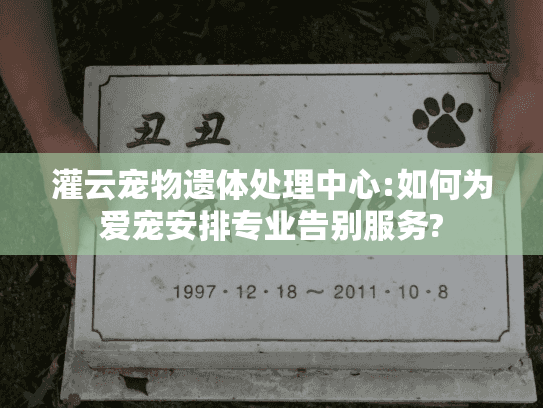 灌云宠物遗体处理中心:如何为爱宠安排专业告别服务?