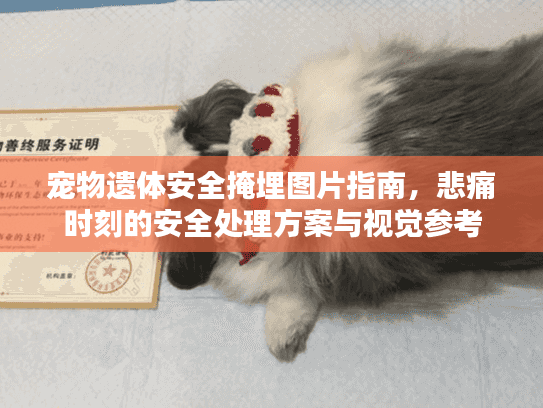宠物遗体安全掩埋图片指南，悲痛时刻的安全处理方案与视觉参考