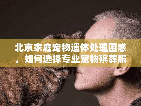 北京家庭宠物遗体处理困惑，如何选择专业宠物殡葬服务？