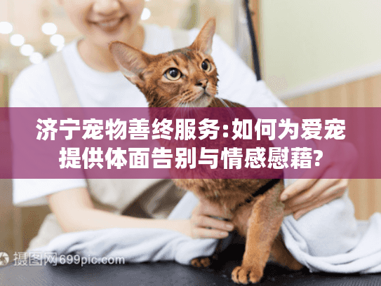 济宁宠物善终服务:如何为爱宠提供体面告别与情感慰藉?