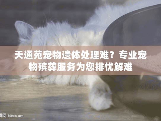 天通苑宠物遗体处理难？专业宠物殡葬服务为您排忧解难