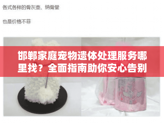 邯郸家庭宠物遗体处理服务哪里找？全面指南助你安心告别
