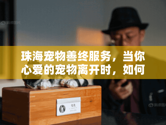珠海宠物善终服务，当你心爱的宠物离开时，如何找到贴心告别方案？
