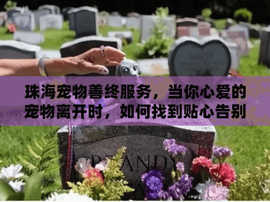珠海宠物善终服务，当你心爱的宠物离开时，如何找到贴心告别方案？