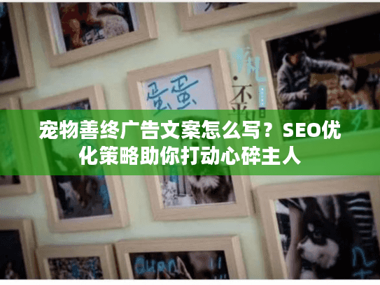 宠物善终广告文案怎么写？SEO优化策略助你打动心碎主人