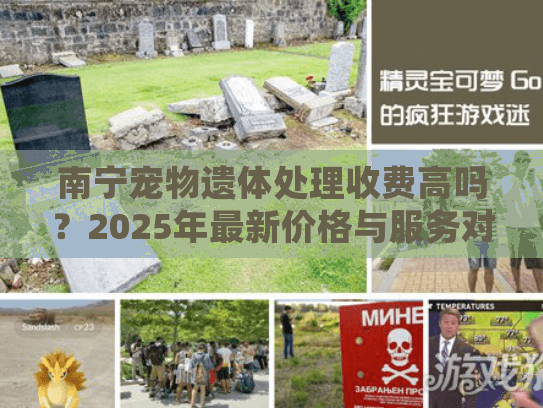 南宁宠物遗体处理收费高吗？2025年最新价格与服务对比分析