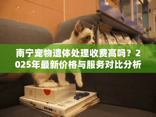 南宁宠物遗体处理收费高吗？2025年最新价格与服务对比分析