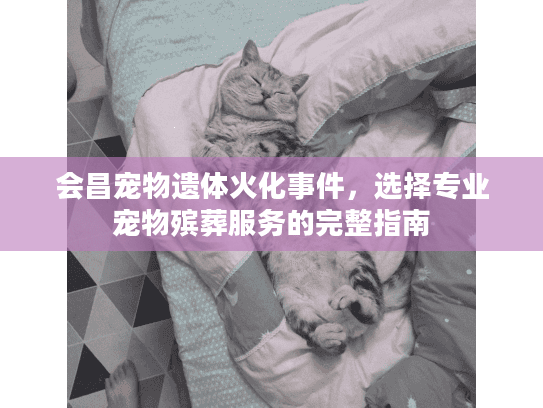 会昌宠物遗体火化事件，选择专业宠物殡葬服务的完整指南