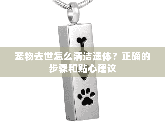 宠物去世怎么清洁遗体？正确的步骤和贴心建议