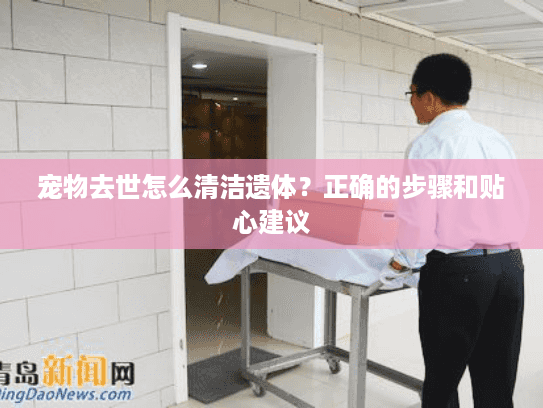 宠物去世怎么清洁遗体？正确的步骤和贴心建议