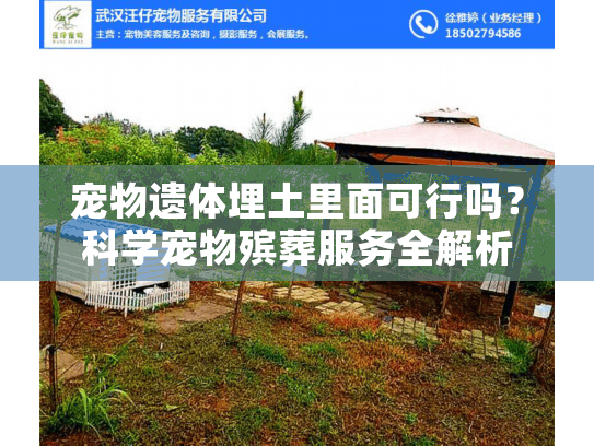 宠物遗体埋土里面可行吗？科学宠物殡葬服务全解析