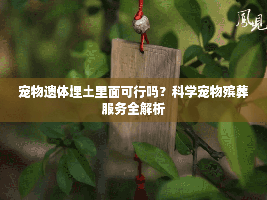 宠物遗体埋土里面可行吗？科学宠物殡葬服务全解析