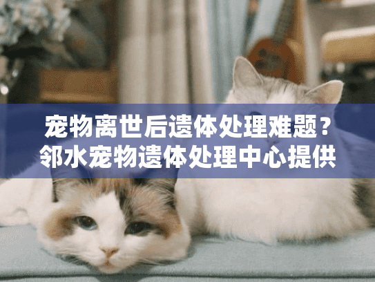 宠物离世后遗体处理难题？邻水宠物遗体处理中心提供专业火化服务
