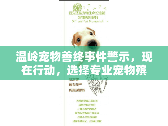 温岭宠物善终事件警示，现在行动，选择专业宠物殡葬服务