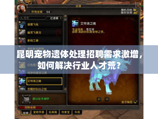 昆明宠物遗体处理招聘需求激增，如何解决行业人才荒？