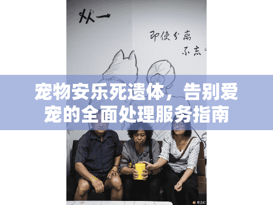 宠物安乐死遗体，告别爱宠的全面处理服务指南
